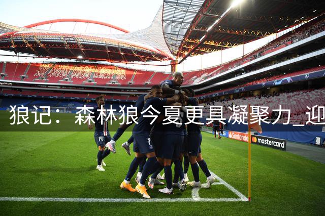 狼记：森林狼今夏更具凝聚力 迎芬奇执教以来天赋最强阵容