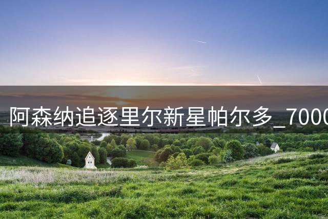 阿森纳追逐里尔新星帕尔多 7000万欧天价要价引关注